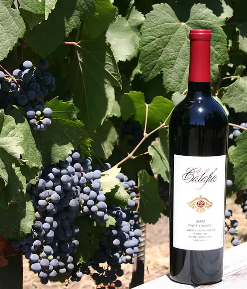 A bottle of Calafia red wine beside ripe grape clusters on the vine